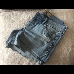 Hollister Shorts